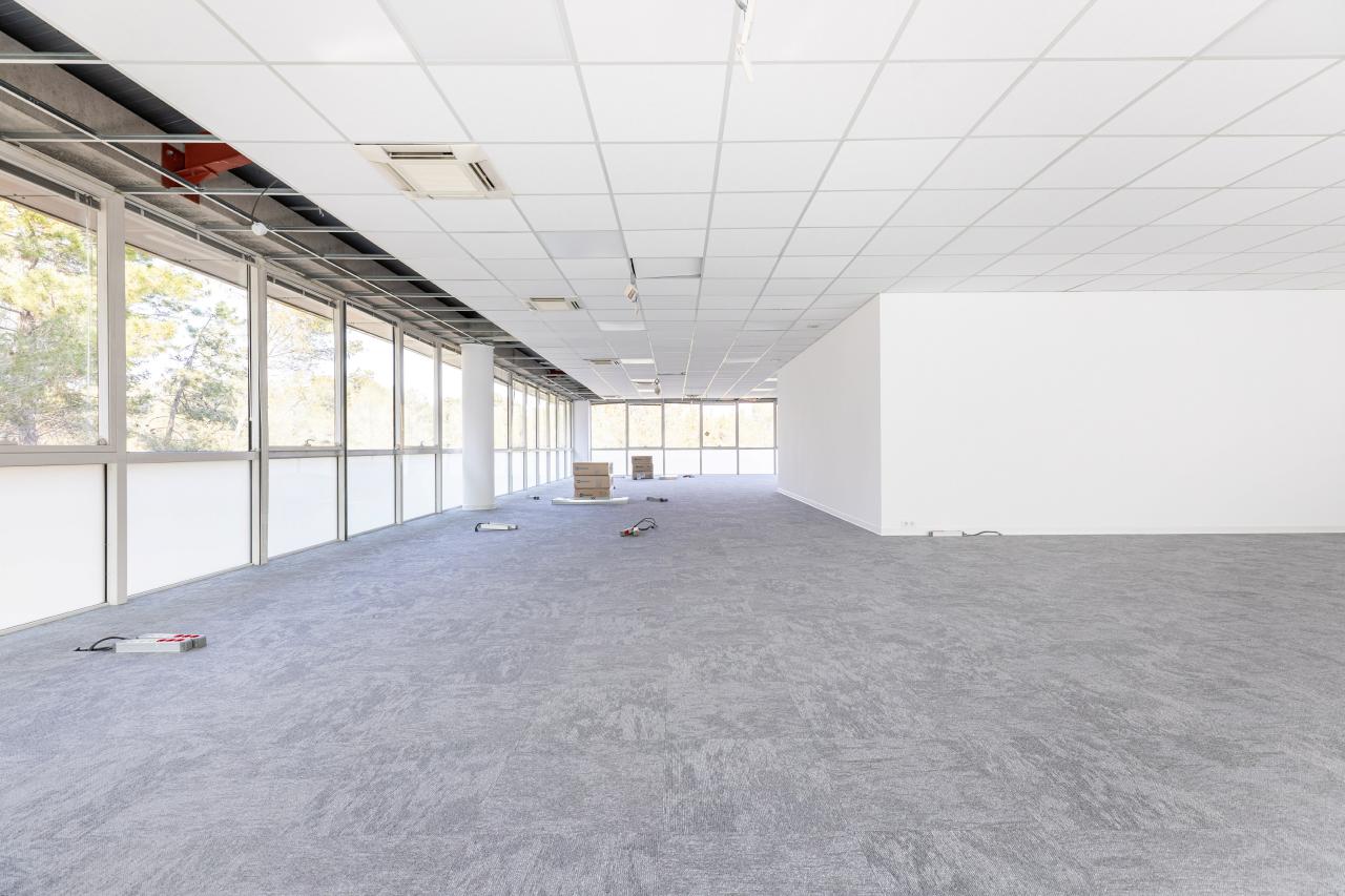 Bureau Biot 1385m² Location bureau Biot Alpes-Maritimes OLBUR2114858 13
